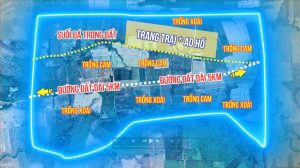 CHUYỂN ĐỔI KHU CÔNG NGHIỆP SINH THÁI: NỀN TẢNG CHIẾN LƯỢC CHO NĂNG LỰC CẠNH TRANH QUỐC GIA TRONG THỜI ĐẠI CARBON THẤP