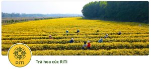 Trái phiếu xanh, trái phiếu bền vững và trái phiếu chuyển tiếp: Động lực huy động vốn quy mô lớn cho chuyển đổi xanh của Việt Nam