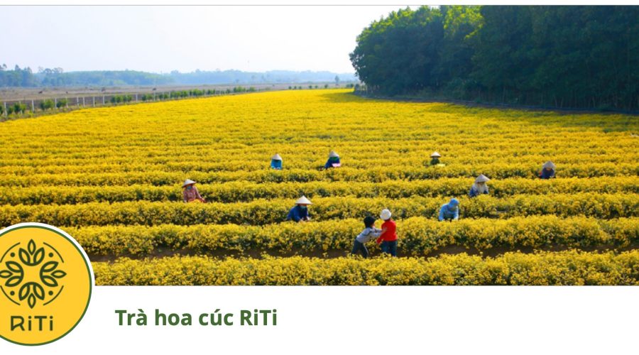 Trái phiếu xanh, trái phiếu bền vững và trái phiếu chuyển tiếp: Động lực huy động vốn quy mô lớn cho chuyển đổi xanh của Việt Nam