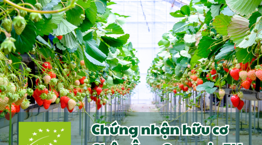 TƯ VẤN TIÊU CHUẨN HỮU CƠ CHÂU ÂU – EU ORGANIC: CHÌA KHÓA VÀO THỊ TRƯỜNG HỮU CƠ HÀNG ĐẦU THẾ GIỚI