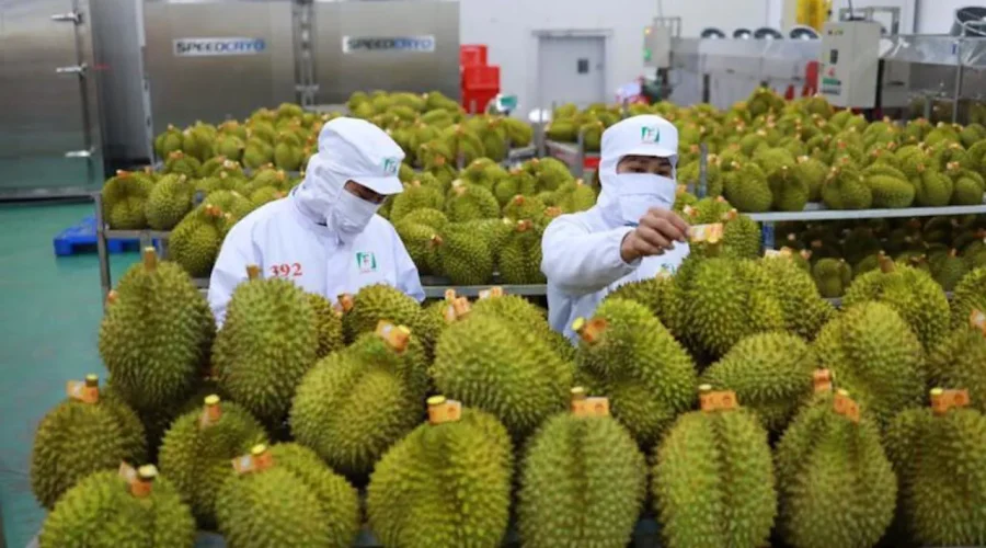 Tư Vấn Đăng Ký Mã Số Cơ Sở Đóng Gói