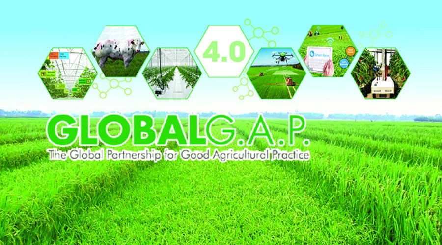 TƯ VẤN CHỨNG NHẬN GLOBALG.A.P – TẤM HỘ CHIẾU VÀO THỊ TRƯỜNG NÔNG NGHIỆP TOÀN CẦU