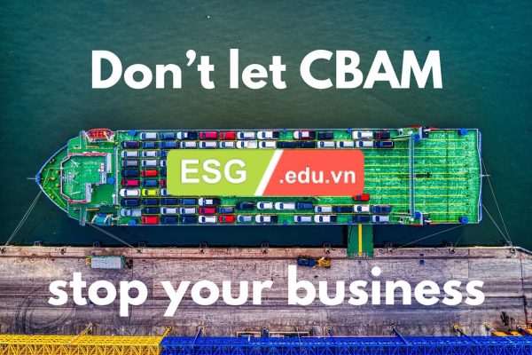 Audited CBAM Reporting Accounting Services