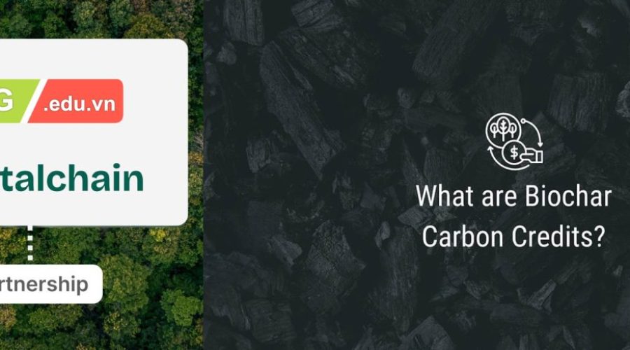 Hợp tác học hỏi kinh nghiệm phát triển tín chỉ carbon từ dự án Bank of Trees tại Thái Lan