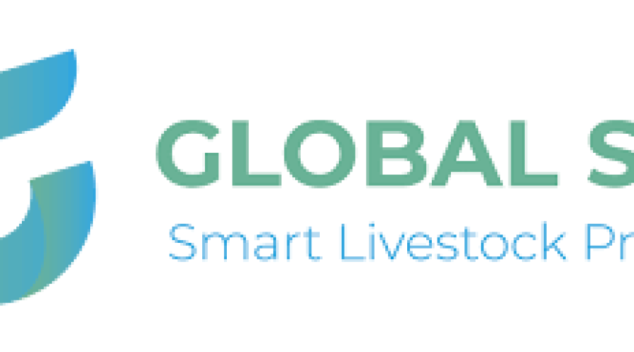 GLOBAL SLP