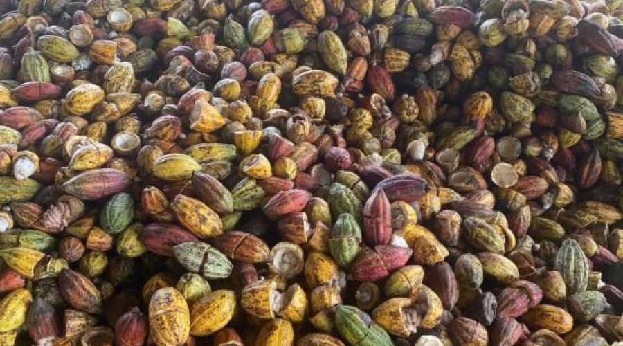 Khung kiến trúc tổng thể chuyển đổi xanh TP.HCM – Tiếp cận hệ thống, liên ngành và chuyển đổi kép